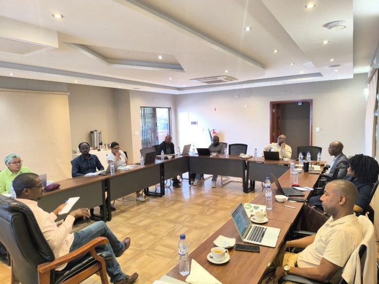 UEM aperfeiçoa instrumentos que orientarão as actividades do Gabinete de Mobilização de Fundos